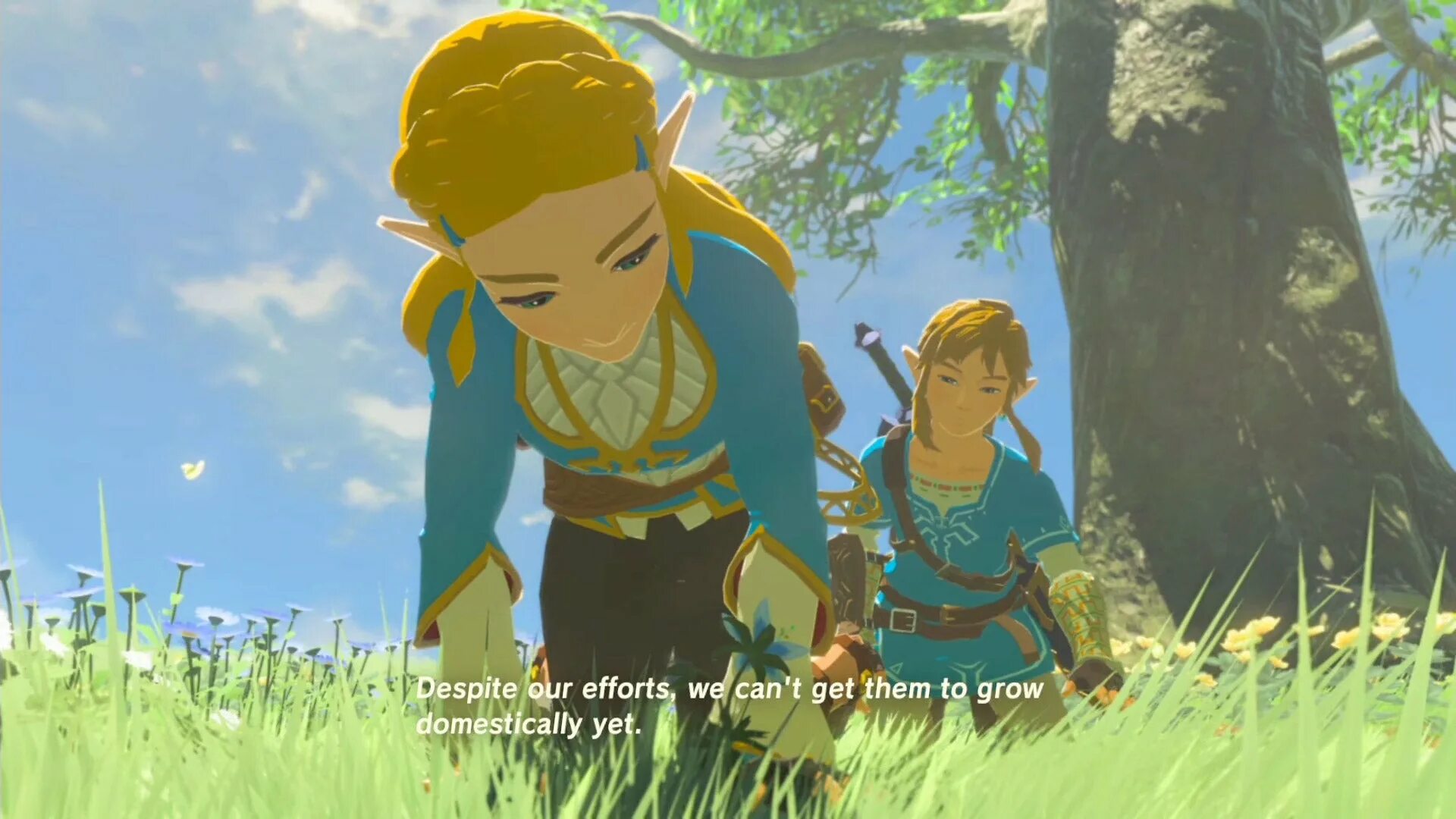 Zelda русский язык. Зельда Breath of the Wild. Легенда о Зельде Breath of the Wild. Линк Зельда Legend of Wild. Сиквел the Legend of Zelda: Breath.