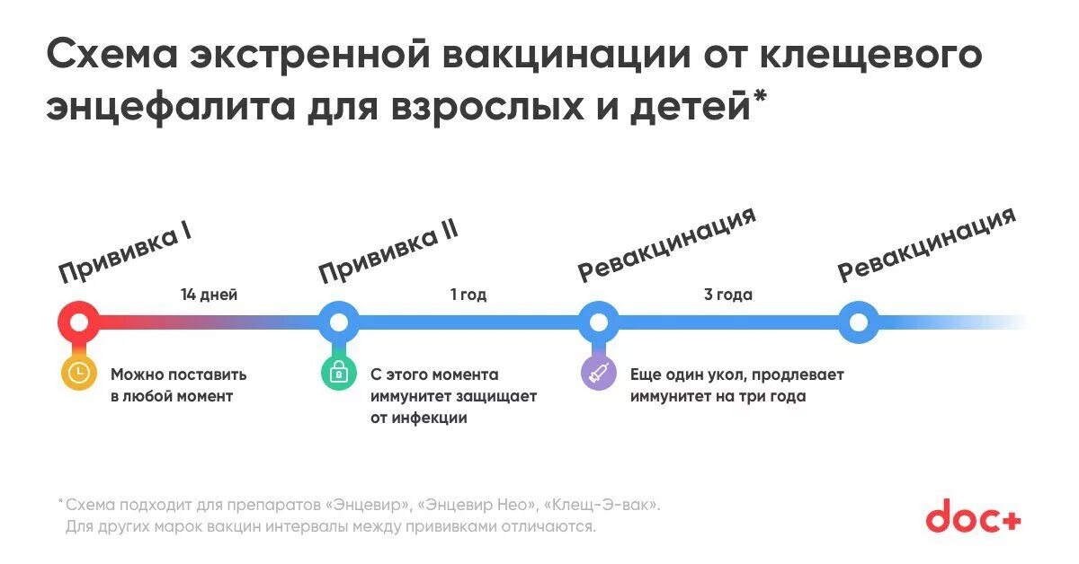 Когда нужно делать прививку от клещей. Вакцинация экстренная от клещевого энцефалита схема вакцинации. Клещевой энцефалит вакцинация схема. Экстренная схема вакцинации против клещевого энцефалита. Вакцина против клещевого энцефалита схема вакцинации.