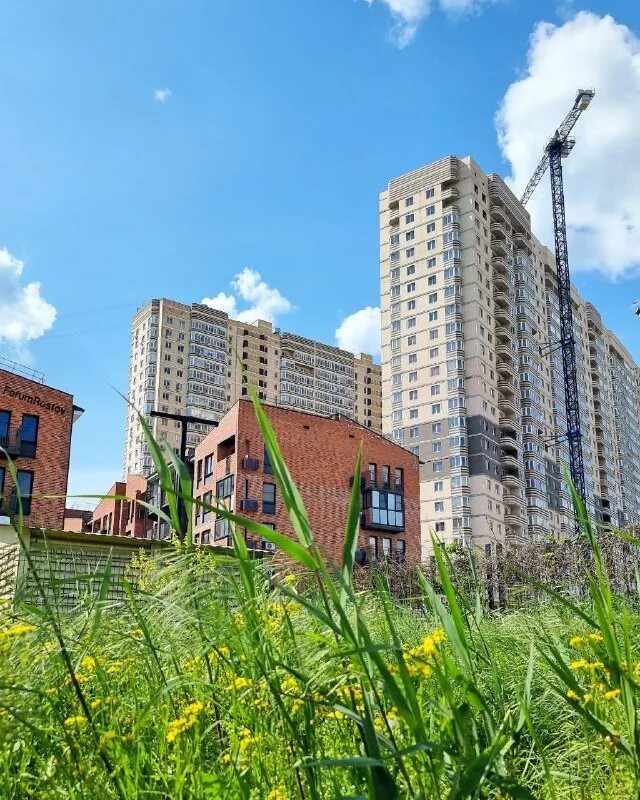 жк сегодня. диаграмма застройщиков россии 2023. гк точно новороссийск. казанская 36 лср. застройка района.