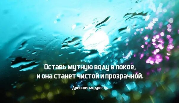 Оставь мутную воду в покое и она. Оставьте мутную воду в покое и она станет чистой и прозрачной. Оставь мутную воду в покое и она станет. Оставьте мутную воду в покое. Песня а жизнь мутная вода