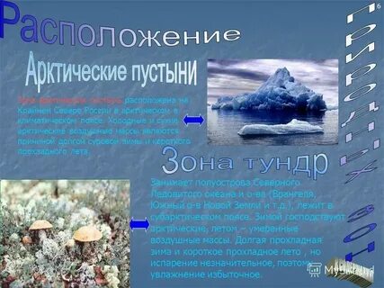 Круглый год господствует сухая и холодная арктическая