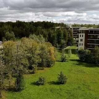 Сокольники вилладж