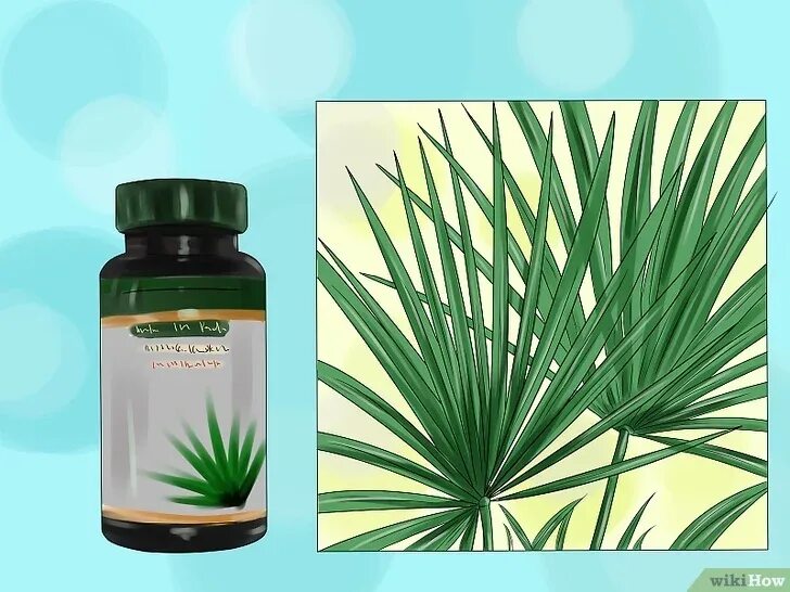 Пальметто капсулы. Экстракт пальмы. Экстракт пальмы. Пальмы сабаль экстракт капсулы. Экстракт пальмы.