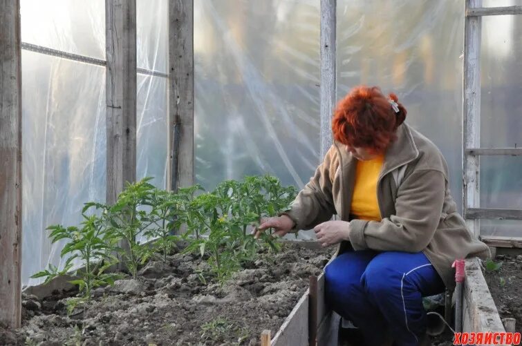 Работа в апреле. Работы в саду и огороде в апреле в сибири.