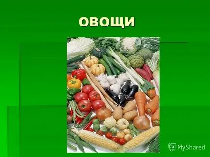 Огород овощи презентация