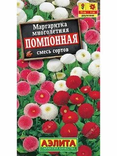Маргаритки семена
