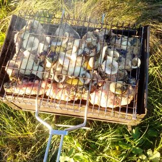 Пруд винный в верхнехавском районе