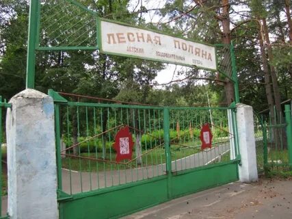 Лесная поляна кучино