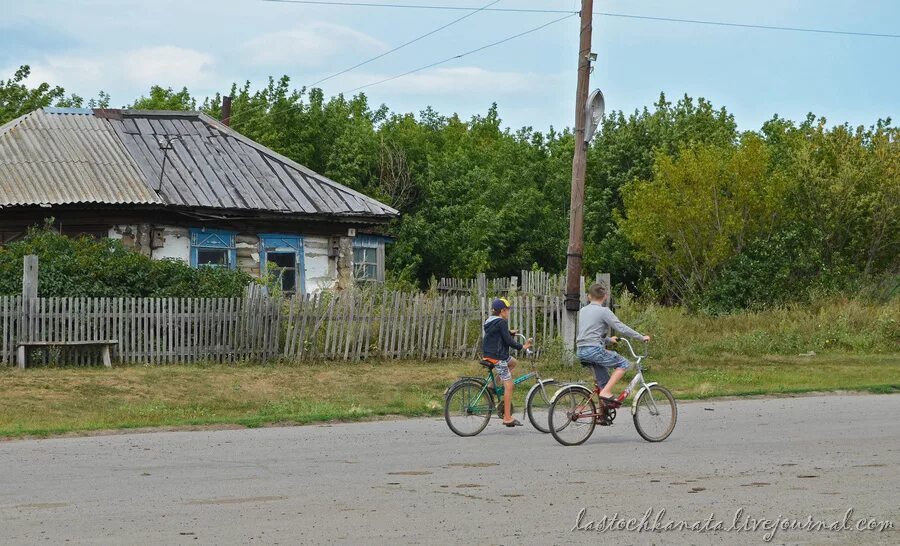 Коробейниково алтайский край погода усть пристанский. Коробейниково Шипуновский район Алтайский. Село Коробейниково Шипуновский район. Село Коробейниково Усть-Пристанский район Алтайский край. С. Коробейниково, Шипуновский р-н, Алтайский край.