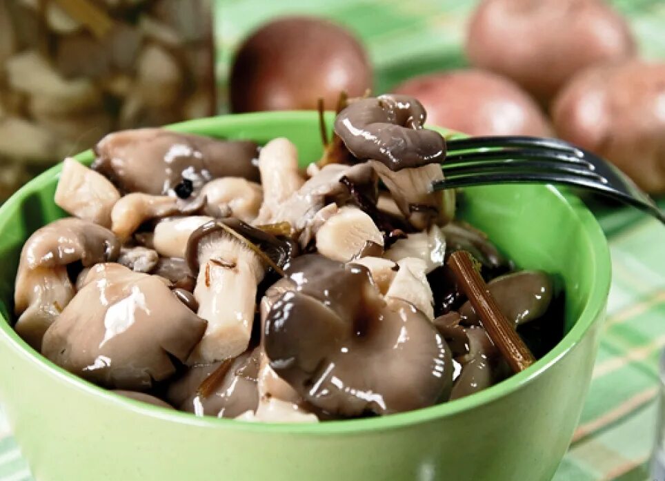 Грибы вешенки маринованные. Грибы вешенки соленые. Вёшенки маринованные. Вешенки маринованные рецепты быстро и вкусно. Вешенки маринованные рецепты быстро и вкусно.