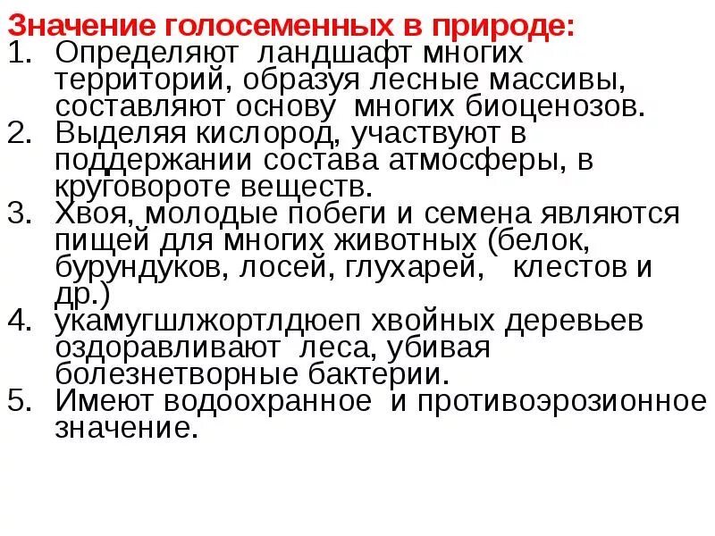 Характеристика хвои ели