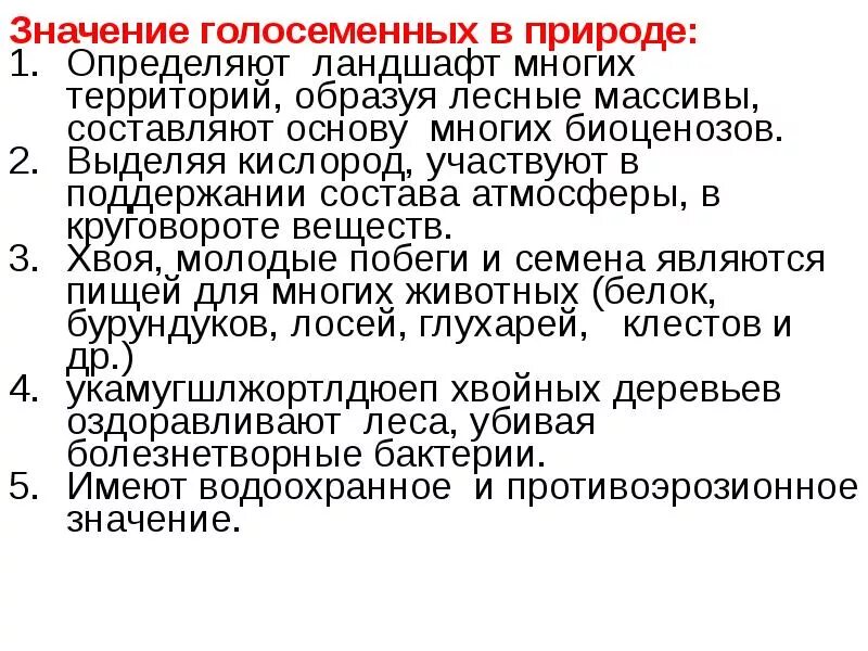 Каково значение хвойных. Роль голосеменных. Значение голосеменных. Значение голосеменных в жизни человека. Значение голосеменных в природе.