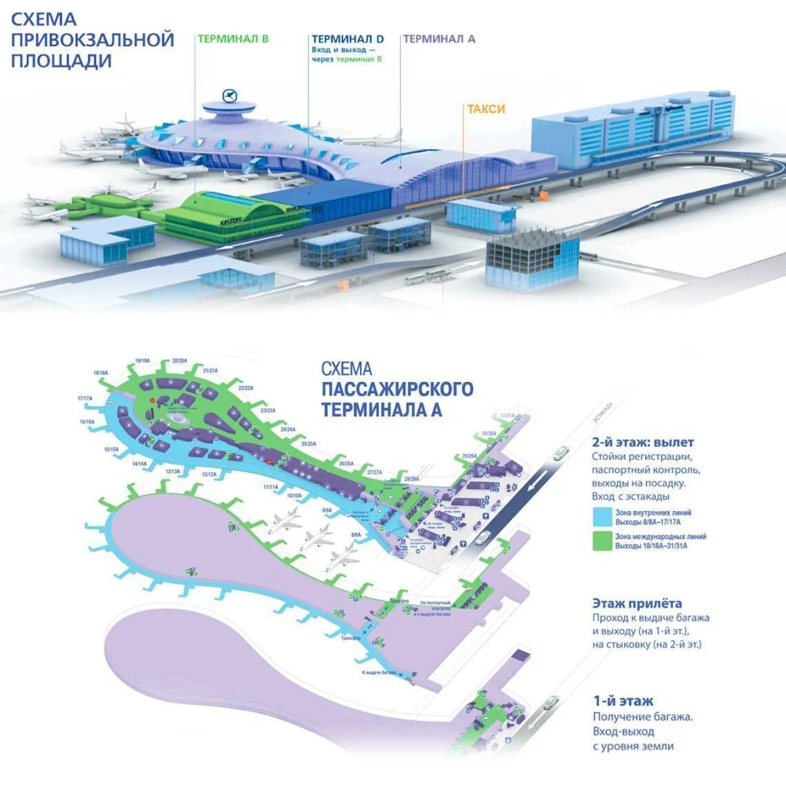 Схема аэропорта Внуково Международный терминал. Аэропорт Внуково терминал а схема. Схема аэропорта Внуково терминал а прилет. Аэропорт Внуково схема аэропорта внутри. Внуково внутренний терминал