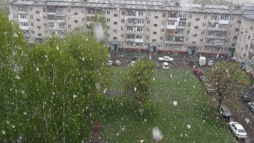 В каком году в мае выпал снег. Снег летом. Летний снег. Снег летом в России. Снег летом в Москве.