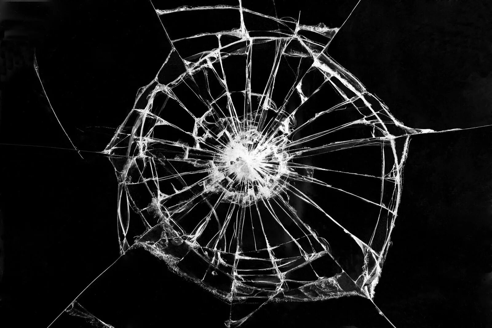 Web cracked