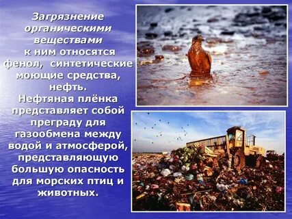 Загрязнения органическими веществами