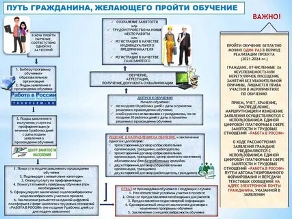 Содействие трудоустройству обучение