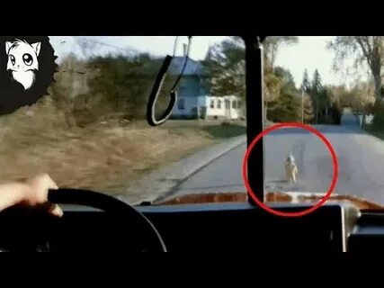 В 3 из 5 случаев