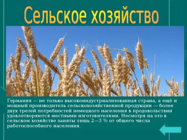 Какое направление в сельском хозяйстве преобладает фрг. Особенности хозяйства фрг. структура сельского хозяйства германии. характеристика сельского хозяйства германии. сельское хозяйство германии таблица.