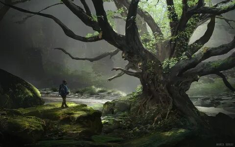 Fantasy environment