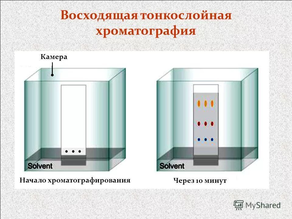 основы тонкослойной хроматографии.