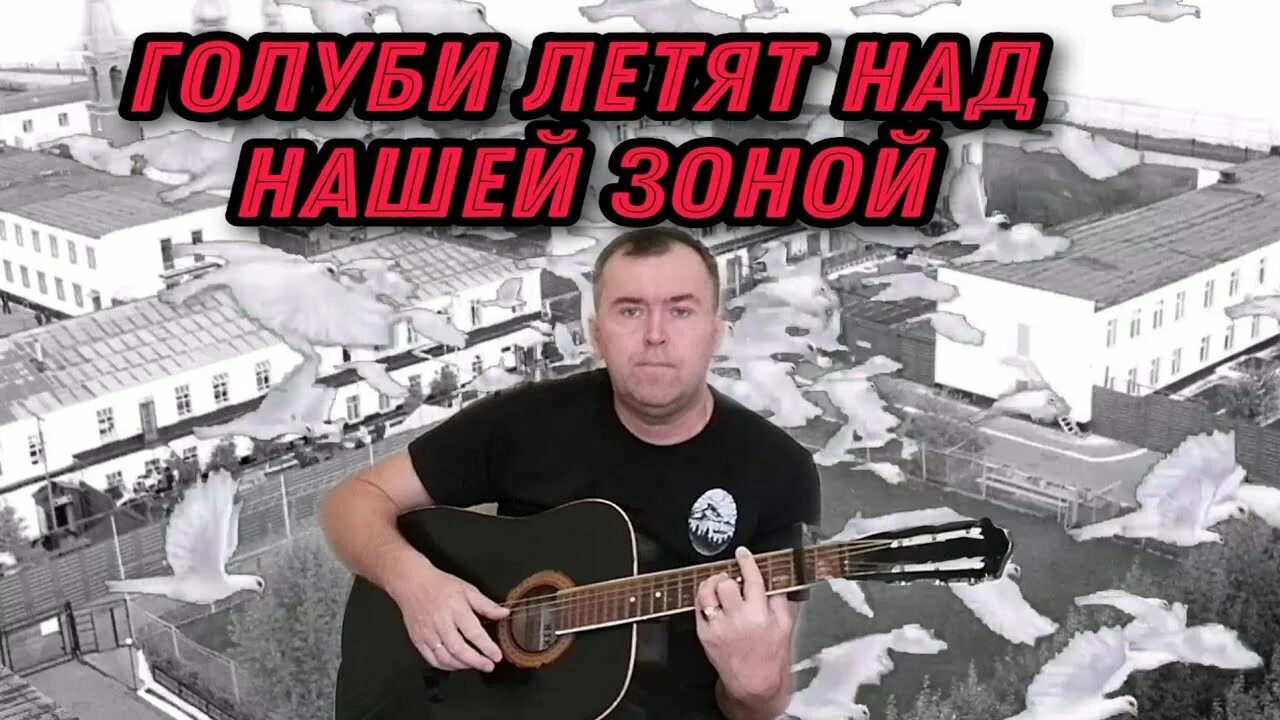 Петь песни голуби. Голуби над зоной. Голуби над зоной Петлюра. Голуби летят над нашей. И голуби над зоной пролетали.