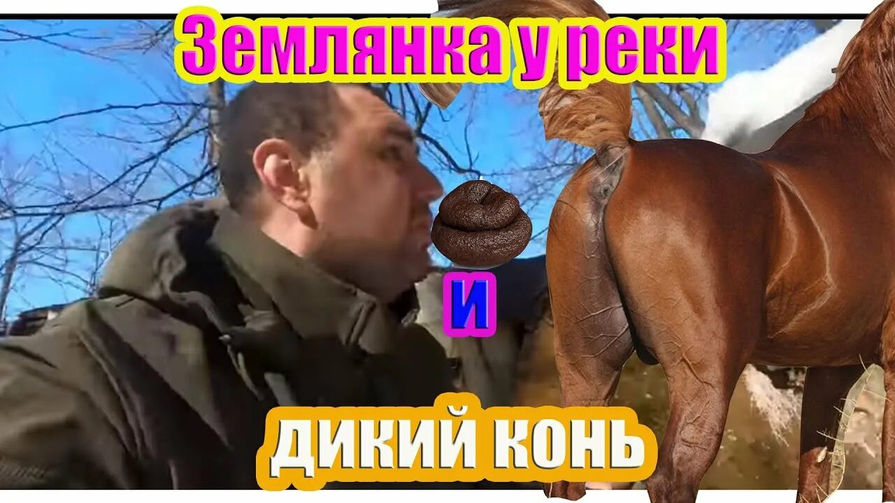 Походный оптимист рен тв. Походный оптимист дмитрий. Походный оптимист землянка в диком лесу. Землянка походного оптимиста. Походный оптимист дмитрий.