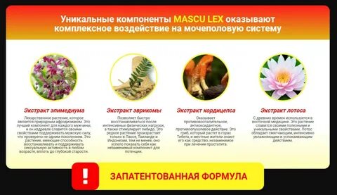 Mascu lex препарат