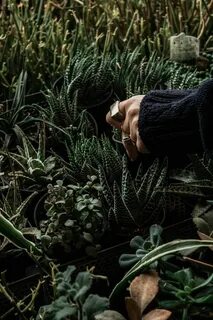 Out plant