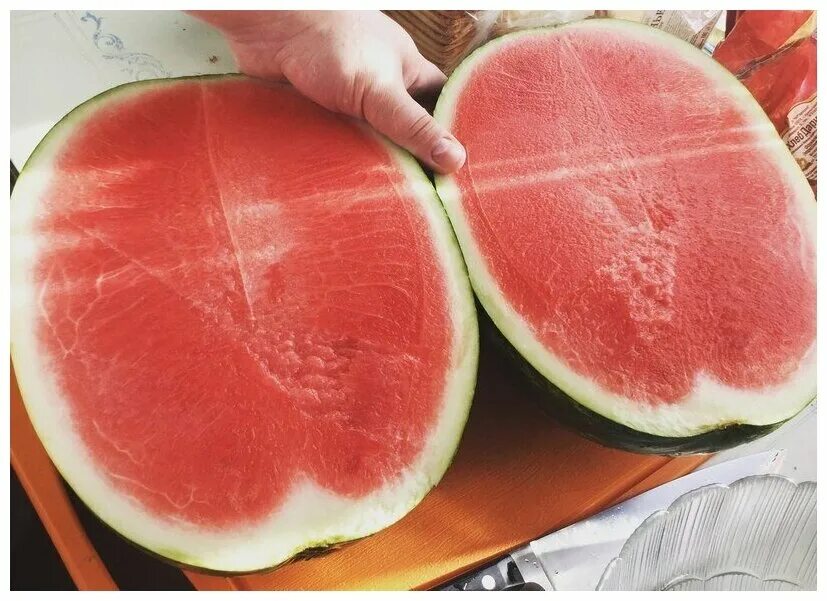 триплоидные арбузы. арбуз без семечек. арбуз без косточек сорт. арбуз без семечек. арбуз без семечек.