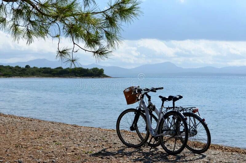 Велосипедист на море. Море утро и велосипед. Велосипед на рассвете. Море утро и велосипед. Море утро и велосипед.