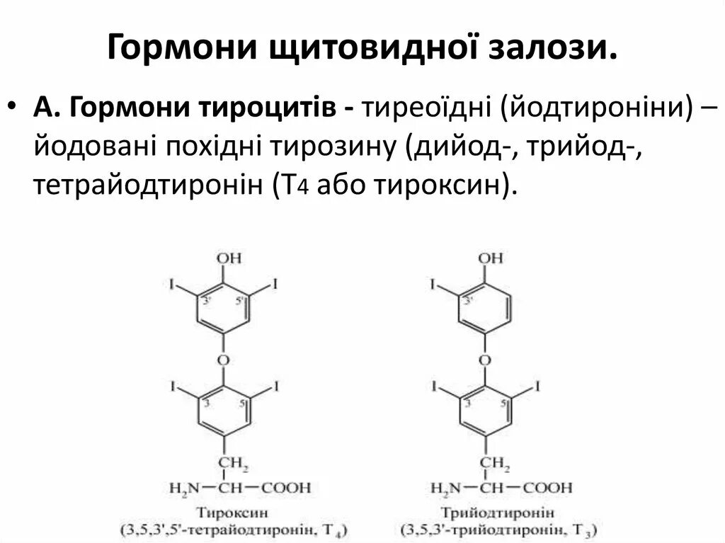 Тироксин гормон чего. Тироксин гормон чего