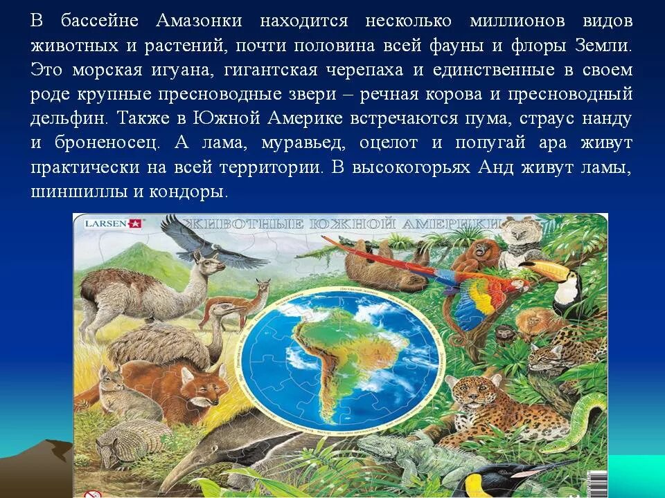 Животный мир южной америки презентация. Животный и растительный мир южной америки презентация. Удивительные животные южной америки презентация 7 класс. Растительный мир южной америки. Животный и растительный мир южной америки презентация.