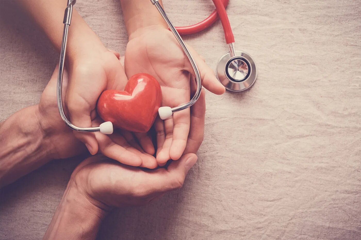 Сердце человека и доктор. Сердце медицина. Сердце кардиология. Врач с сердечком. Сердце в руках медицина.