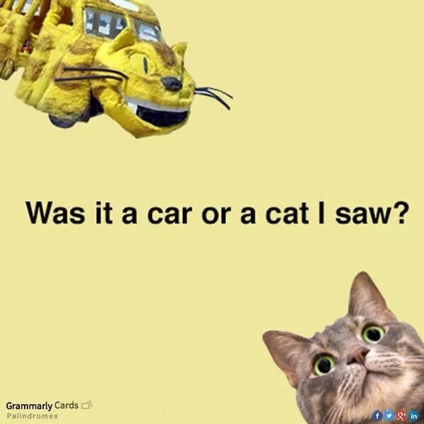Php cat 1. It is a cat. grammar cat. i see a cat. palindrome words.