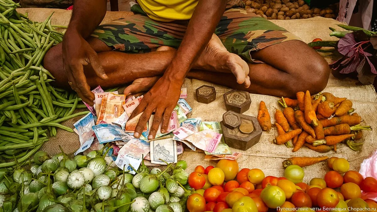 Цены на шри ланке на еду 2024. Шри-Ланка фрукты. Фрукты Шри Ланки. Фруктовый рынок Хиккадува. Рынки на Шри Ланке.