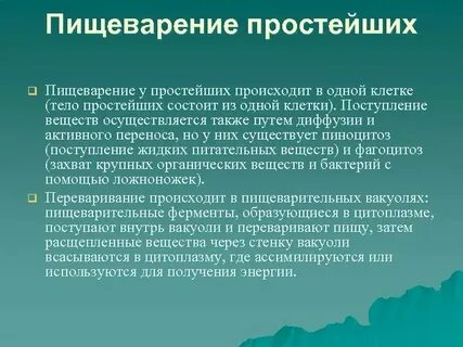 Органы пищеварения у простейших таблица