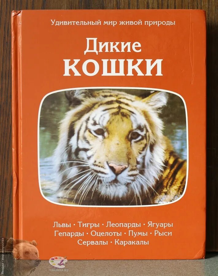 Дикие кошки книга. Книги о тиграх. Обложка книги о животных. Книги про тигра. Романы про дикий