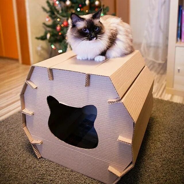 Как сделать кошку коробку