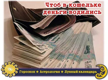 Что делать в кошельке деньги водились