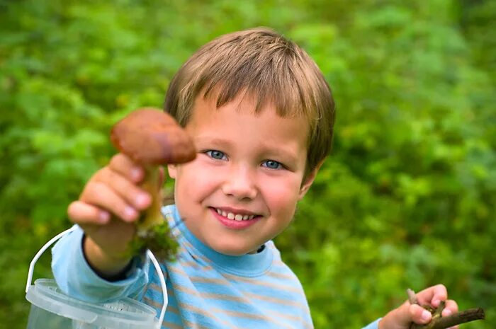 Юный натуралист. Маленькие натуралисты. Юный природовед. Юный натуралист кружок для детей.