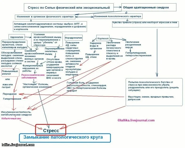 Заболевания физического характера. Психосоматические Цепочки. Психосоматические схемы. Схема психосоматических заболеваний. Карта психосоматических заболеваний.