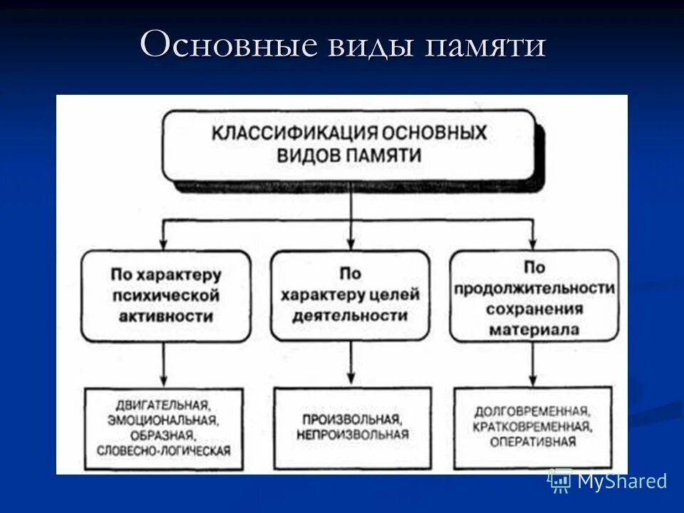 Память формы виды памяти. Классификация основных видов памяти. Основные формы памяти. Формы памяти в психологии. Основная классификация видов памяти у человека.