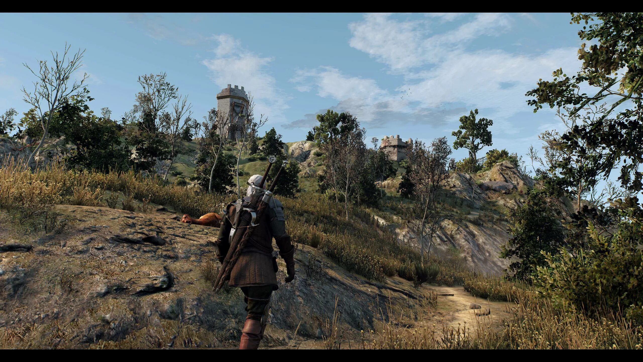 Witcher 3 settings