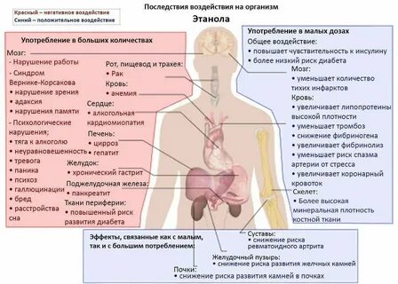 Бывает одностороннее действие одного тела на другое