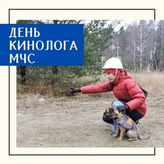 Сколько получают кинологи в месяц