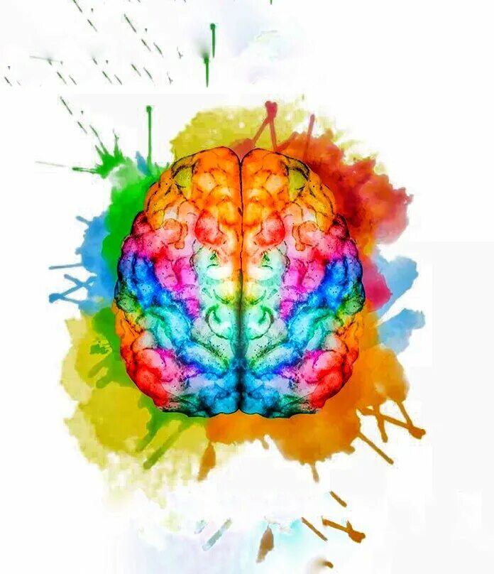 Дэвид бом физик. Память это способность. Как сделать память феноменальной. Как развить феноменальную. Как развиваться до феноменального памяти.