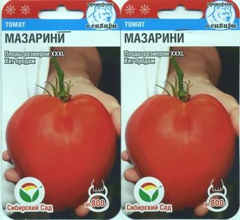 Томат мазарини описание сорта фото отзывы характеристика