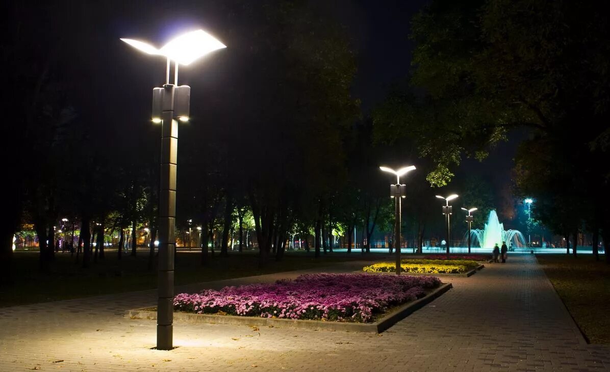 Площадь отраженного света