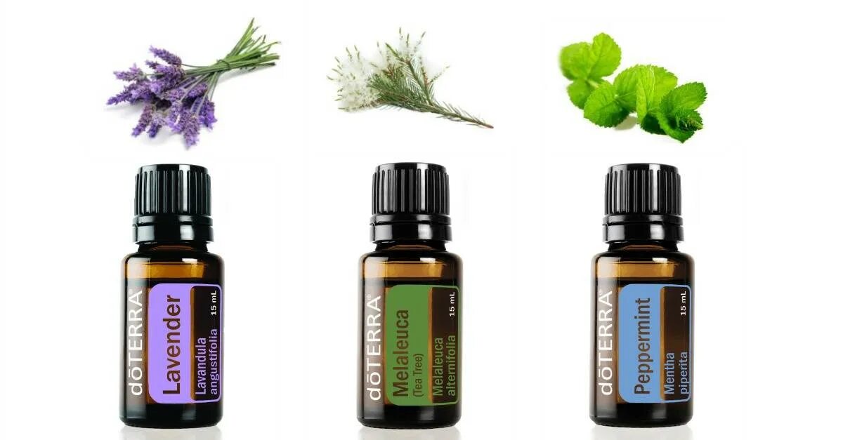 Перечная мята DOTERRA. Эфирное масло перечная мята DOTERRA. DOTERRA чайное дерево. Чайное дерево DOTERRA 5 ml.